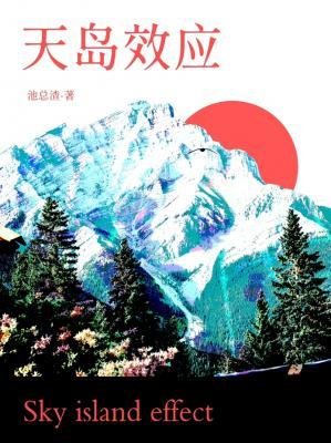 《天岛效应》